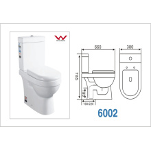 Watermark Washdown Toilette à deux pièces avec S-Trap160 / 220mm / P-Trap180mm (A-6002)